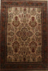 edit Jaipur/Sarouk 9'9"X13'11'